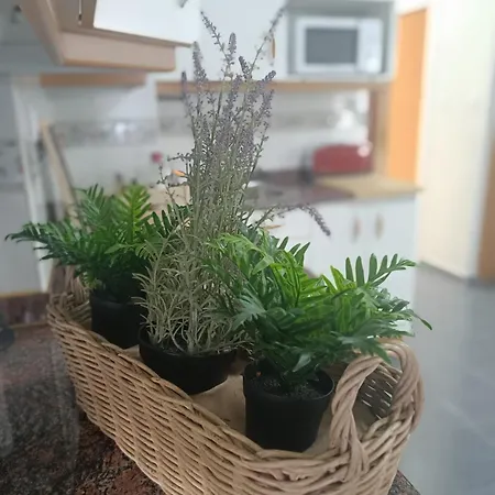 La Campanilla-suances