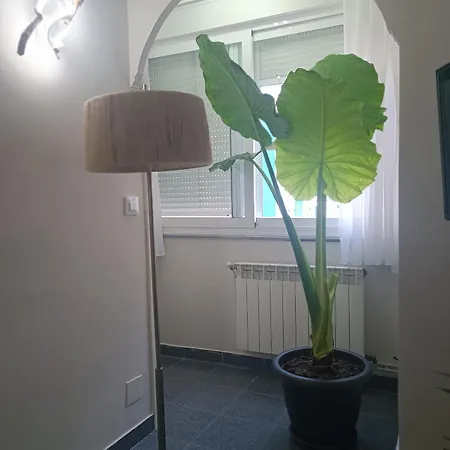 La Campanilla-suances Appartement *