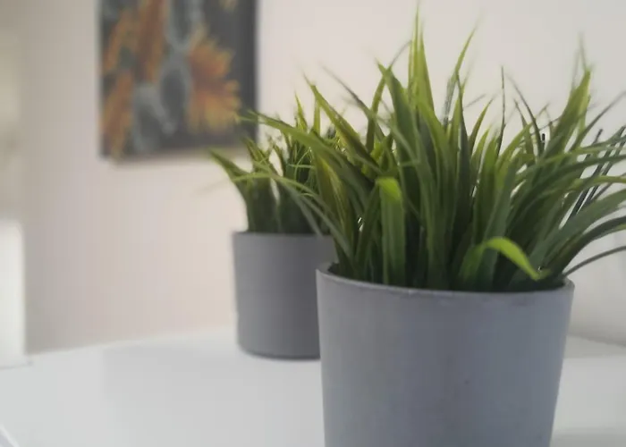 La Campanilla-suances Suances