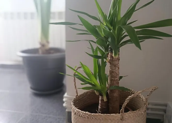 Apartment La Campanilla-suances