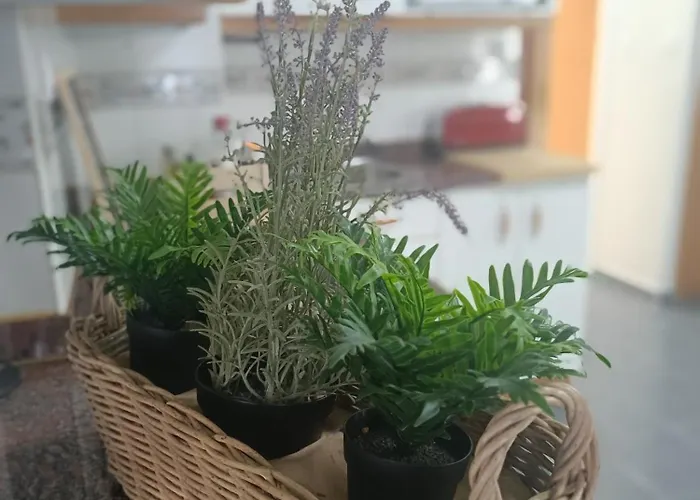 La Campanilla-suances