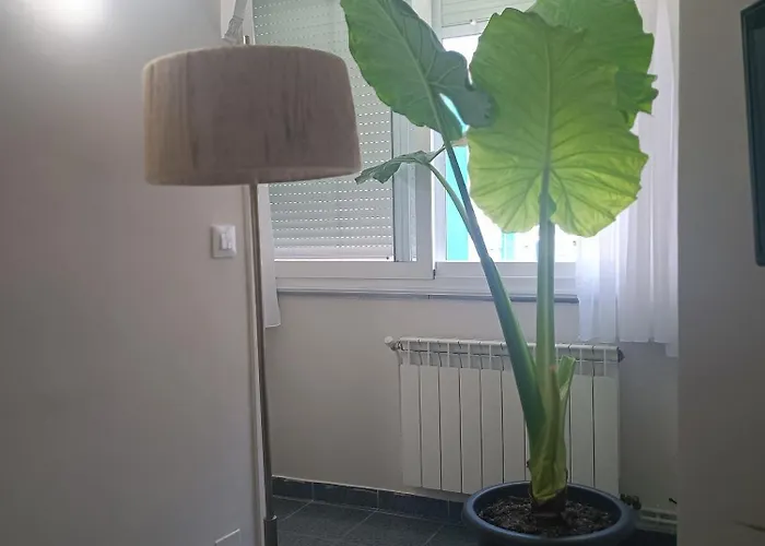 La Campanilla-suances Apartment *