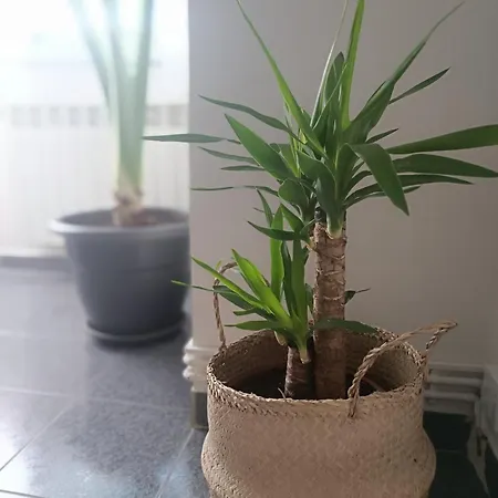 Apartment La Campanilla-suances